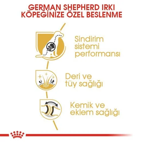 Royal Canin German Shepherd Adult Kuru Köpek Maması 11 Kg - Thumbnail