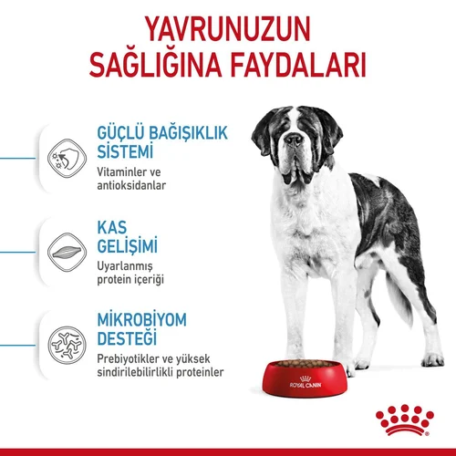 Royal Canin Giant Junior Dev Irk Köpek Maması 15 Kg - Thumbnail