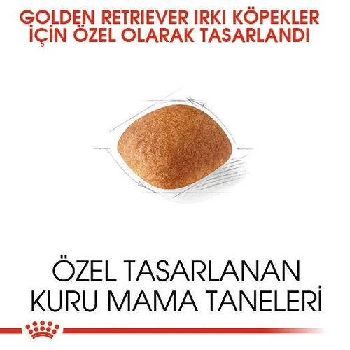 Royal Canin Golden Retriever Adult Kuru Köpek Maması 12 Kg - Thumbnail