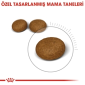 Royal Canin Hair Skin Hassas Tüylü Kediler İçin Mama 2 Kg - Thumbnail