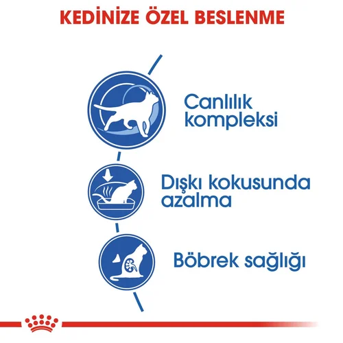 Royal Canin İndoor +7 Kuru Kedi Maması 1.5 Kg - Thumbnail