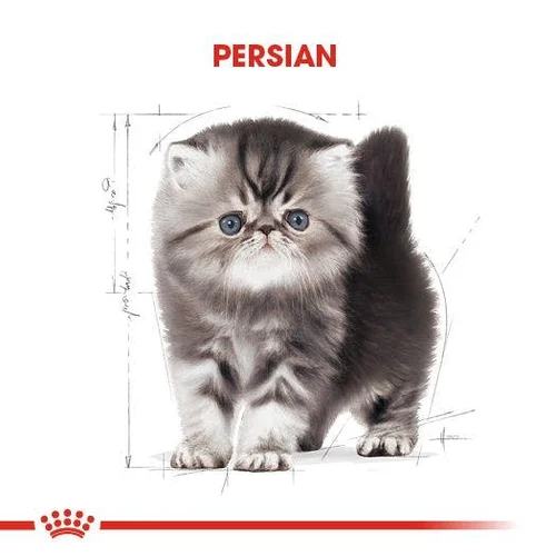 Royal Canin Persian Kitten Kuru Kedi Maması 2 Kg - Thumbnail