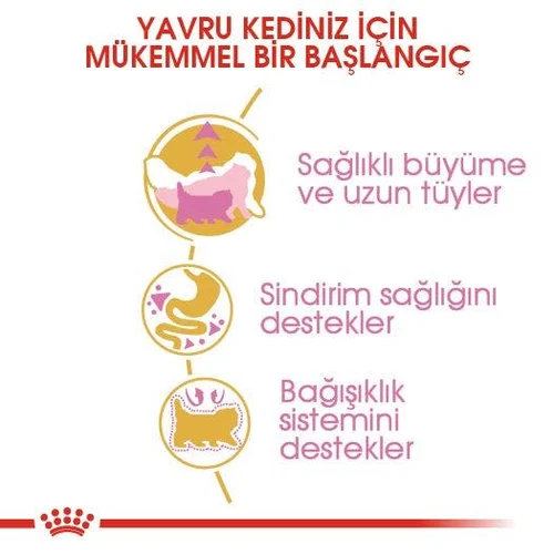 Royal Canin Persian Kitten Kuru Kedi Maması 2 Kg - Thumbnail