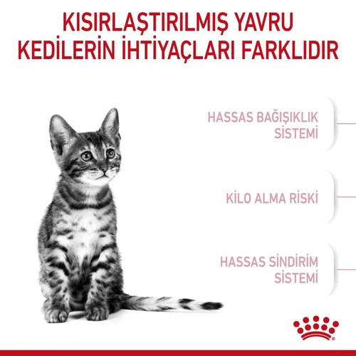 Royal Canin Kitten Sterilised Kısır Yavru Kedi Maması 2 Kg - Thumbnail