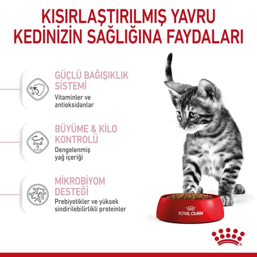 Royal Canin Kitten Sterilised Kısır Yavru Kedi Maması 2 Kg - Thumbnail