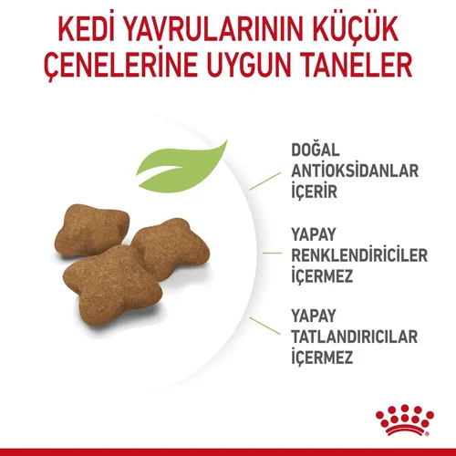 Royal Canin Kitten Sterilised Kısır Yavru Kedi Maması 2 Kg - Thumbnail