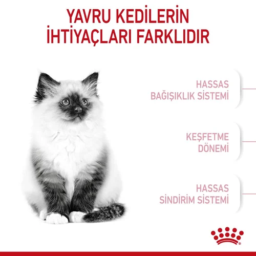 Royal Canin Kitten Yavru Kuru Kedi Maması 4 Kg - Thumbnail