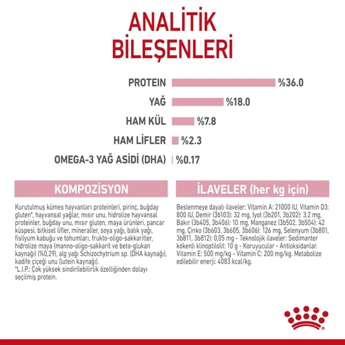 Royal Canin Kitten Yavru Kuru Kedi Maması 4 Kg - Thumbnail