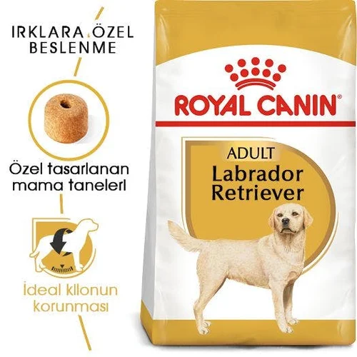 Royal Canin Labrador Retriever Adult Kuru Köpek Maması 12 Kg - Thumbnail