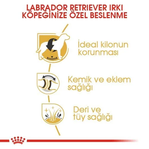 Royal Canin Labrador Retriever Adult Kuru Köpek Maması 12 Kg - Thumbnail