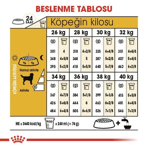 Royal Canin Labrador Retriever Adult Kuru Köpek Maması 12 Kg - Thumbnail