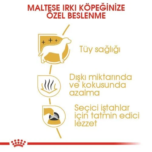 Royal Canin Maltese Adult Kuru Köpek Maması 1.5 Kg - Thumbnail