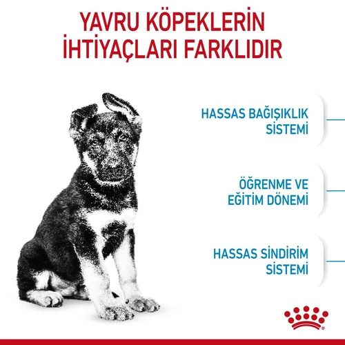 Royal Canin Maxi Puppy Büyük Irk Köpek Maması 15 Kg - Thumbnail