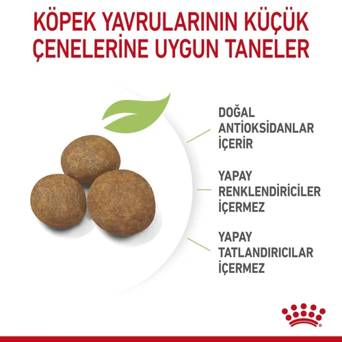 Royal Canin Maxi Puppy Büyük Irk Köpek Maması 15 Kg - Thumbnail