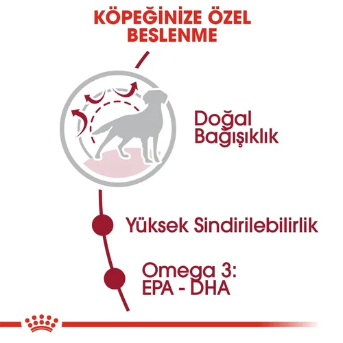 Royal Canin Medium Adult Orta Irk Kuru Köpek Maması 15 Kg - Thumbnail