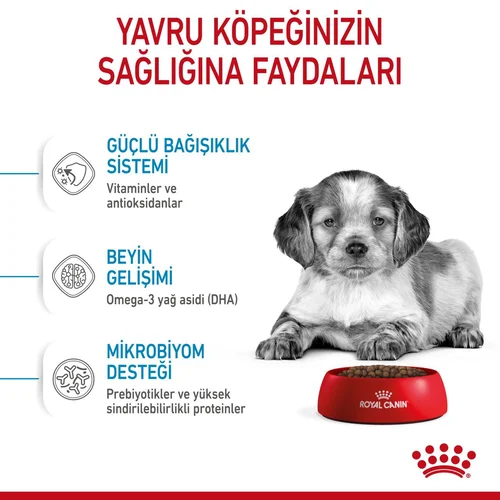 Royal Canin Medium Puppy Orta Irk Kuru Köpek Maması 4 Kg - Thumbnail