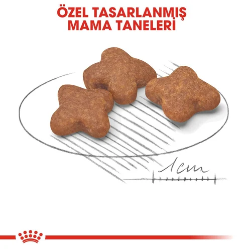 Royal Canin Mini Adult +8 Yaş Yaşlı Köpek Maması 2 Kg - Thumbnail