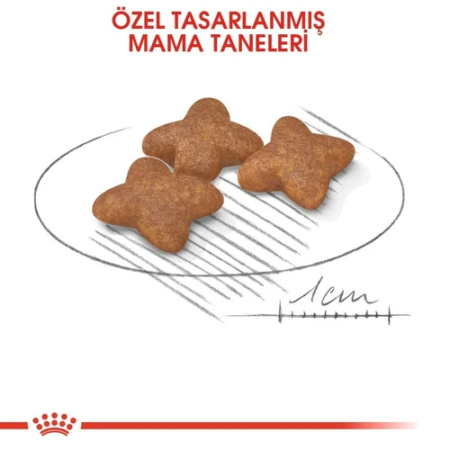 Royal Canin Mini Adult Kuru Köpek Maması 2 Kg - Thumbnail