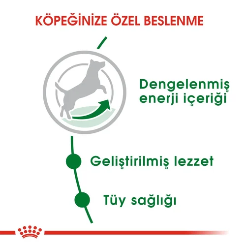 Royal Canin Mini Adult Kuru Köpek Maması 2 Kg - Thumbnail