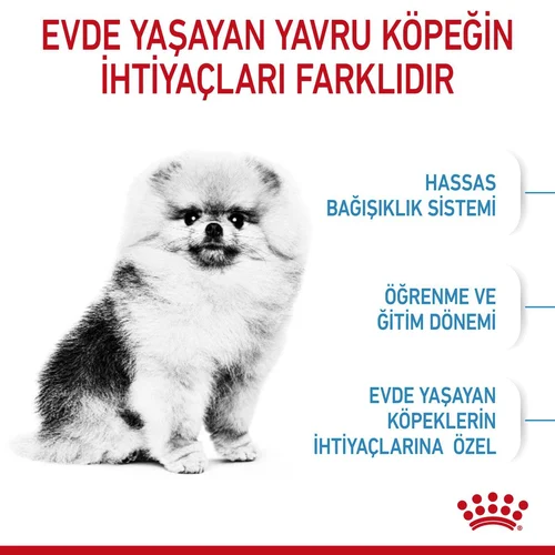 Royal Canin Mini İndoor Puppy Kuru Köpek Maması 1,5 Kg - Thumbnail