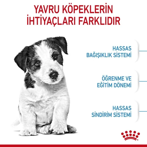 Royal Canin Mini Puppy Kuru Köpek Maması 2 Kg - Thumbnail