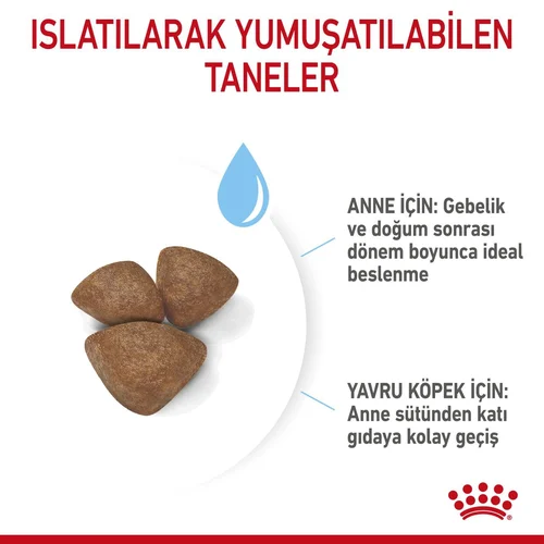 Royal Canin Mini Starter Mother&BabyDog Kuru Köpek Maması 4 Kg - Thumbnail