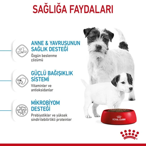 Royal Canin Mini Starter Mother&BabyDog Kuru Köpek Maması 4 Kg - Thumbnail