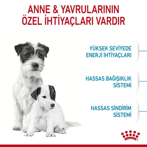 Royal Canin Mini Starter Mother&BabyDog Kuru Köpek Maması 4 Kg - Thumbnail