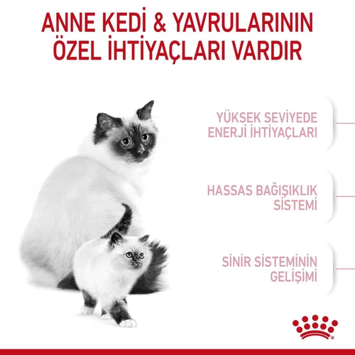 Royal Canin Mother & BabyCat Kuru Kedi Maması 4 Kg - Thumbnail