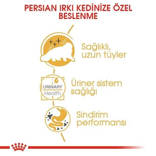 Royal Canin Persian Adult Kedi Pouch Yaş Mama 85 Gr - Thumbnail