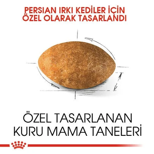 Royal Canin Persian Adult Kuru Kedi Maması 4 Kg - Thumbnail