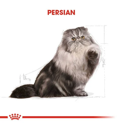 Royal Canin Persian Adult Kuru Kedi Maması 4 Kg - Thumbnail