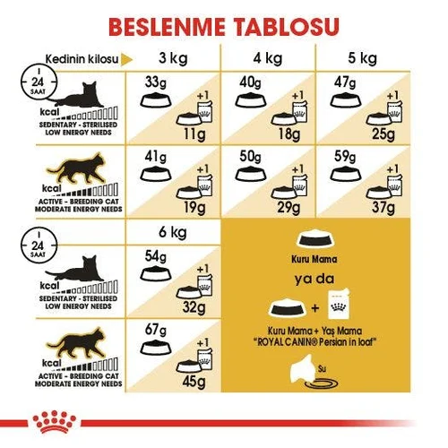 Royal Canin Persian Adult Kuru Kedi Maması 4 Kg - Thumbnail