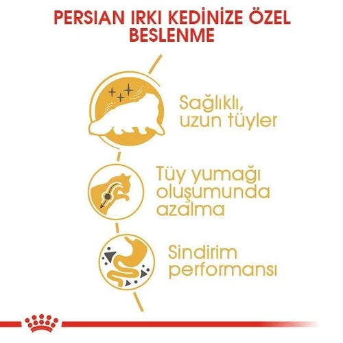 Royal Canin Persian Adult Kuru Kedi Maması 4 Kg - Thumbnail