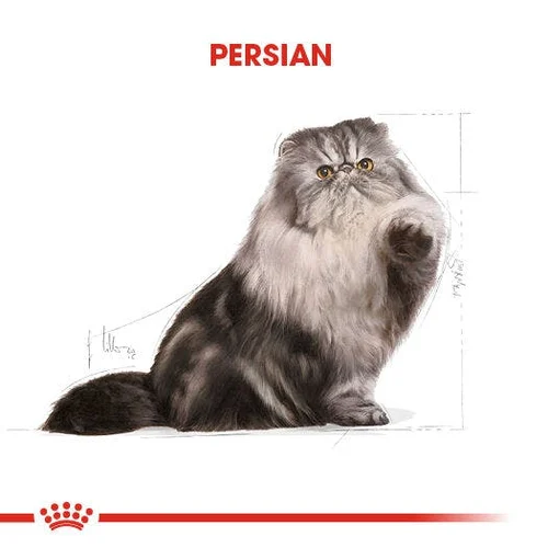 Royal Canin Persian Adult Kuru Kedi Maması 400 Gr - Thumbnail