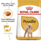 Royal Canin Poodle Adult Kuru Köpek Maması 3 Kg - Thumbnail