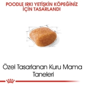 Royal Canin Poodle Adult Kuru Köpek Maması 3 Kg - Thumbnail