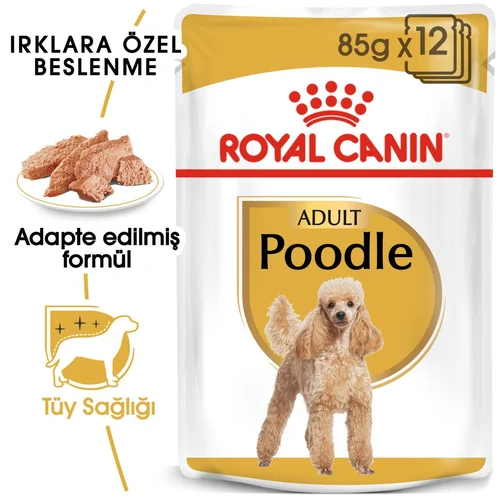 Royal Canin Poodle Adult Pouch Köpek Yaş Mama 85 Gr - Thumbnail