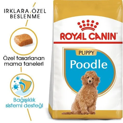 Royal Canin Poodle Puppy Kuru Köpek Maması 3 Kg - Thumbnail