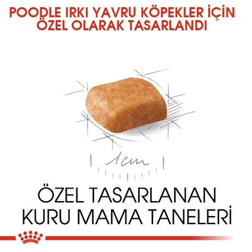 Royal Canin Poodle Puppy Kuru Köpek Maması 3 Kg - Thumbnail