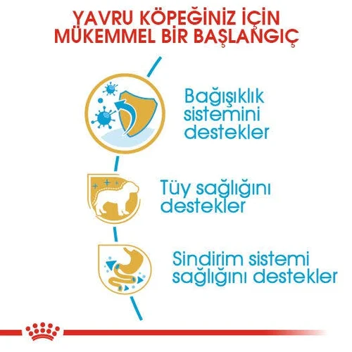 Royal Canin Poodle Puppy Kuru Köpek Maması 3 Kg - Thumbnail