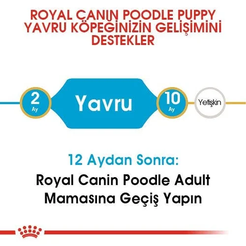 Royal Canin Poodle Puppy Kuru Köpek Maması 3 Kg - Thumbnail