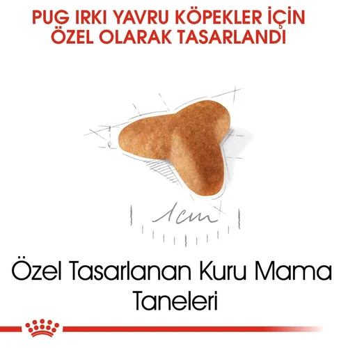 Royal Canin Pug Puppy Kuru Köpek Maması 1,5 Kg - Thumbnail