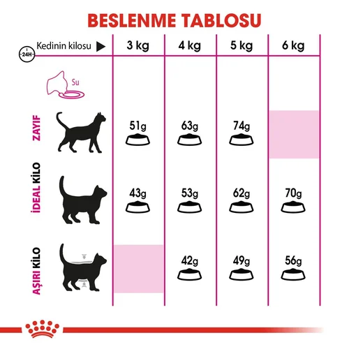 Royal Canin Savour Exigent Kuru Kedi Maması 4 Kg - Thumbnail
