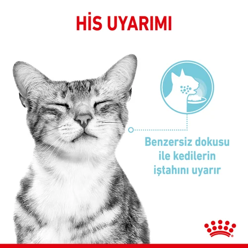 Royal Canin Sensory Feel Etli ve Balıklı Soslu Kedi Pouch Yaş Mama 85 Gr - Thumbnail