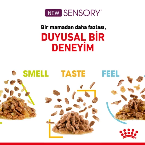 Royal Canin Sensory Feel Etli ve Balıklı Soslu Kedi Pouch Yaş Mama 85 Gr - Thumbnail