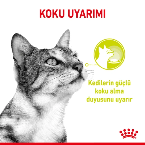 Royal Canin Sensory Smell Etli ve Balıklı Soslu Kedi Pouch Yaş Mama 85 Gr - Thumbnail