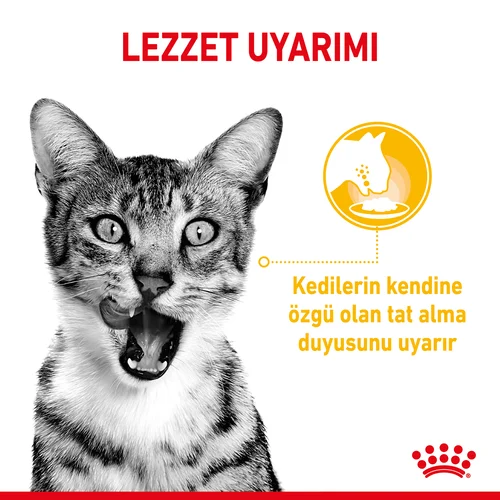 Royal Canin Sensory Taste Etli Soslu Kedi Pouch Yaş Mama 85 Gr - Thumbnail