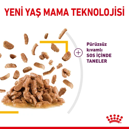 Royal Canin Sensory Taste Etli Soslu Kedi Pouch Yaş Mama 85 Gr - Thumbnail