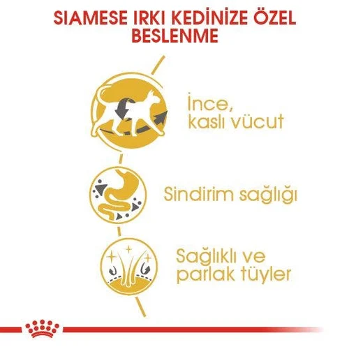 Royal Canin Siamese Kuru Kedi Maması 2 Kg - Thumbnail